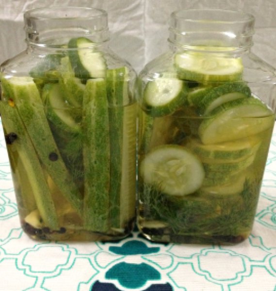Cucumber Refrigerator Dill Pickles2
