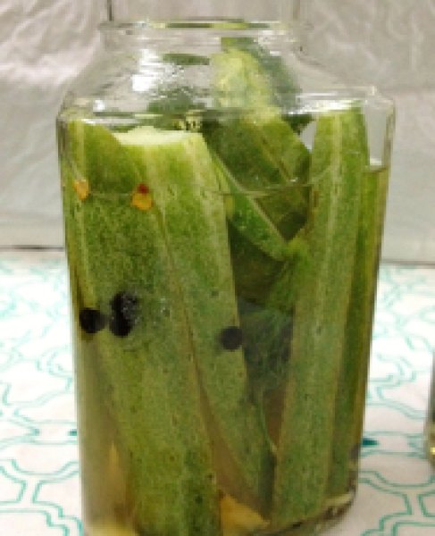 Cucumber Refrigerator Dill Pickles3