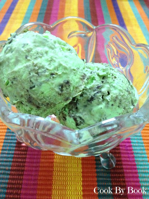 Fresh Mint & Chocolate Chunks Ice-cream2